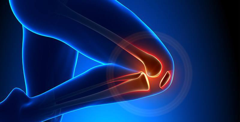 arthroplasty fellowship