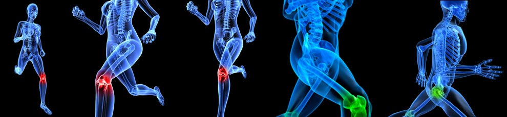 fellowship in orthopaedics