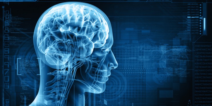 neurology fellowship neurology fellowship