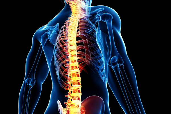 spine surgery fellowship
