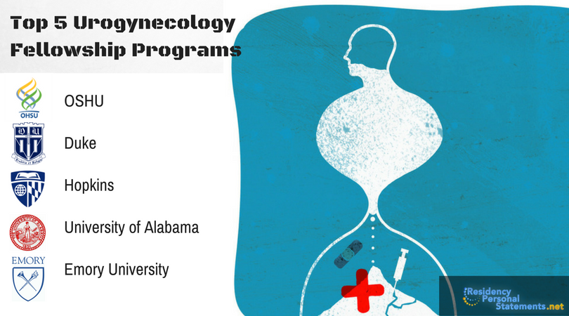 top urology fellowship programs